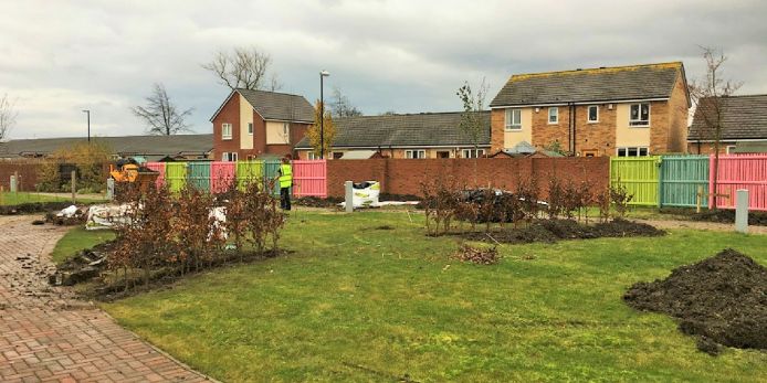 Trees planted at Grace House in first phase of new garden build