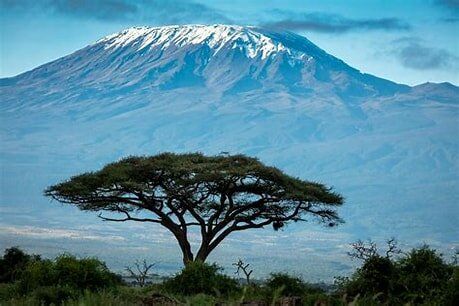 Would you climb Kilimanjaro for the Greenfingers Charity?